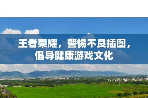 王者荣耀，警惕不良插图，倡导健康游戏文化