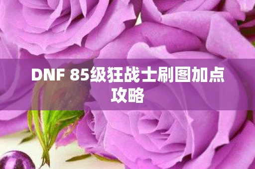 DNF 85级狂战士刷图加点攻略