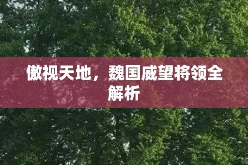 傲视天地，魏国威望将领全解析