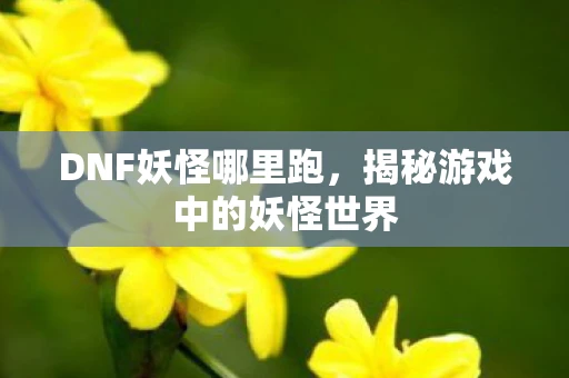 DNF妖怪哪里跑，揭秘游戏中的妖怪世界