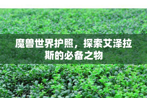 探索艾泽拉斯的必备之物图片