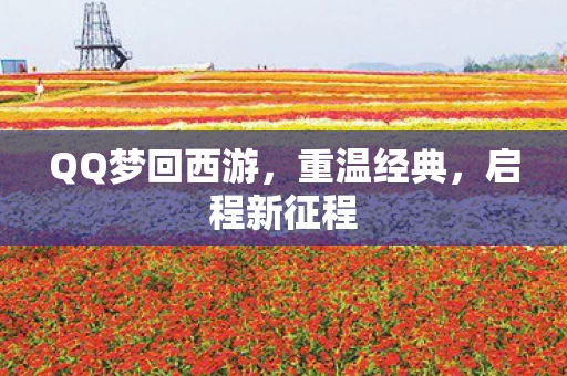 QQ梦回西游图片