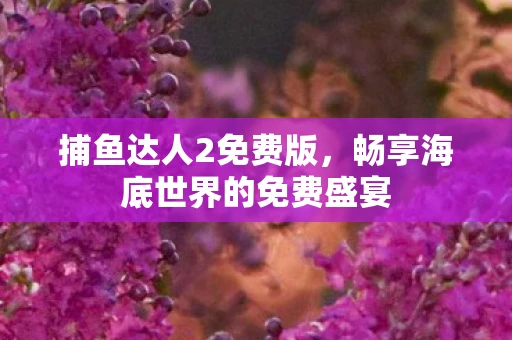 捕鱼达人2免费版，畅享海底世界的免费盛宴