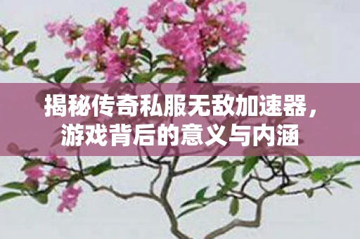 揭秘传奇私服无敌加速器，游戏背后的意义与内涵