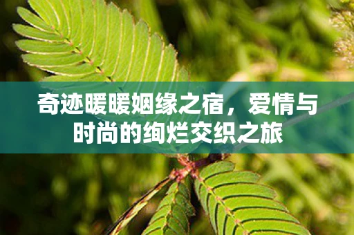 奇迹暖暖姻缘之宿，爱情与时尚的绚烂交织之旅