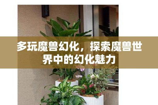 多玩魔兽幻化，探索魔兽世界中的幻化魅力