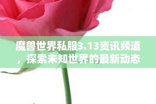 魔兽世界私服3.13资讯频道，探索未知世界的最新动态