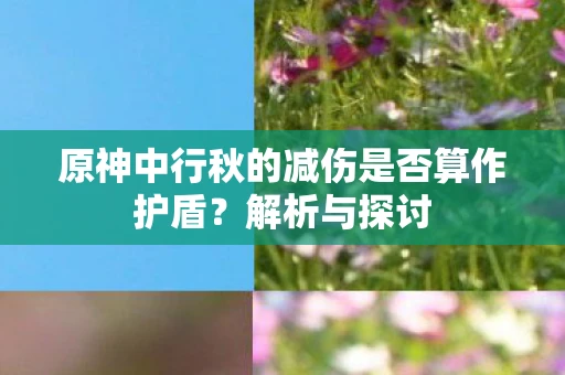 原神中行秋的减伤是否算作护盾？解析与探讨