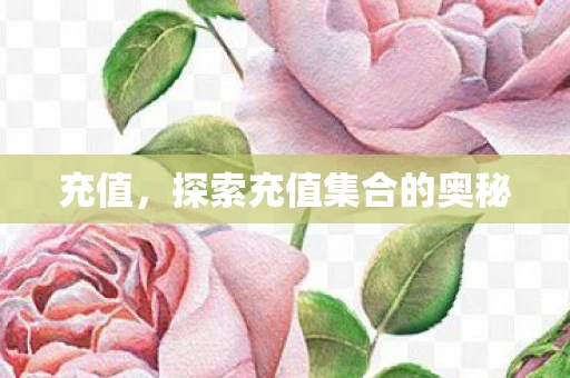 充值，探索充值集合的奥秘