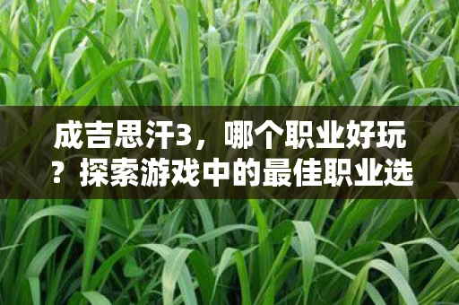 成吉思汗3，哪个职业好玩？探索游戏中的最佳职业选择