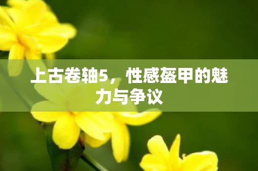 性感盔甲的魅力与争议图片