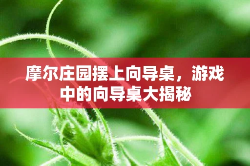 摩尔庄园摆上向导桌，游戏中的向导桌大揭秘