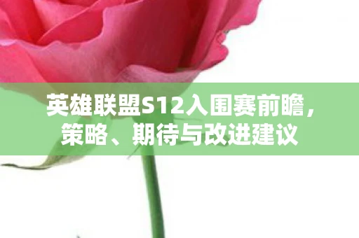 英雄联盟S12入围赛前瞻，策略、期待与改进建议