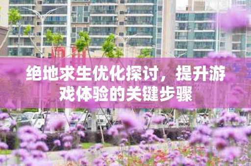 绝地求生优化探讨，提升游戏体验的关键步骤