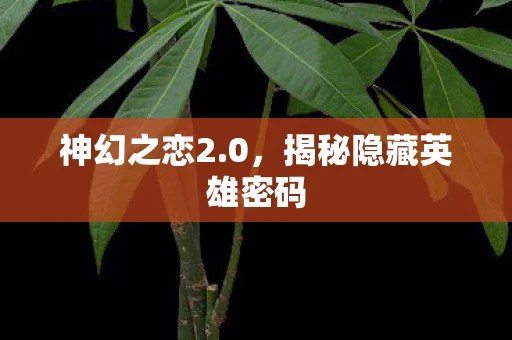 神幻之恋2.0，揭秘隐藏英雄密码