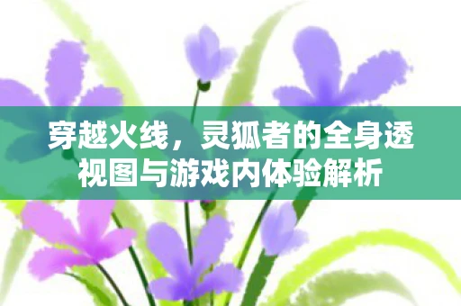 穿越火线，灵狐者的全身透视图与游戏内体验解析