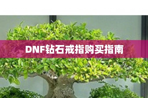 DNF钻石戒指购买指南