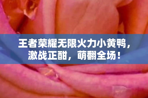 王者荣耀无限火力小黄鸭，激战正酣，萌翻全场！