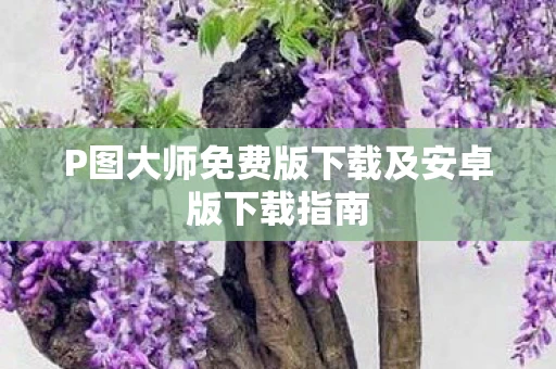 P图大师免费版下载及安卓版下载指南