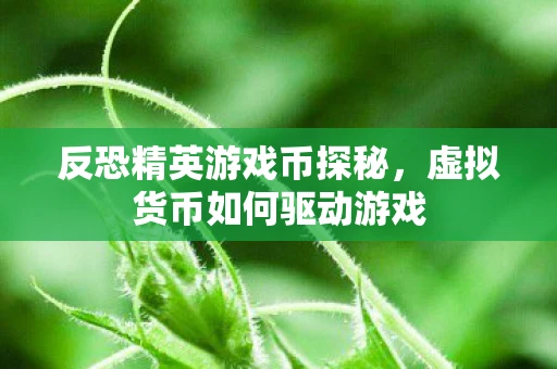 反恐精英游戏币探秘，虚拟货币如何驱动游戏