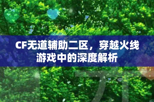 CF无道辅助二区，穿越火线游戏中的深度解析