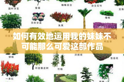 如何有效地运用我的妹妹不可能那么可爱这部作品
