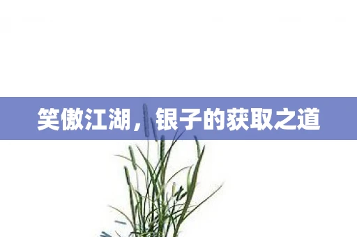 笑傲江湖，银子的获取之道