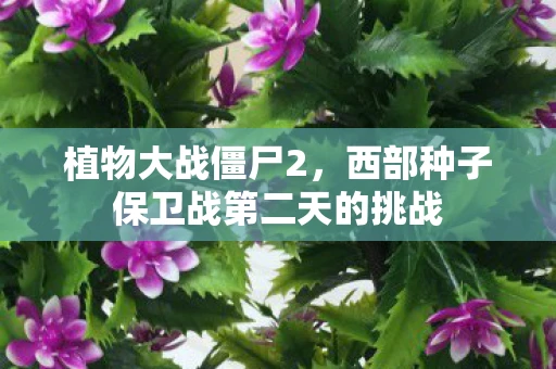 植物大战僵尸2，西部种子保卫战第二天的挑战