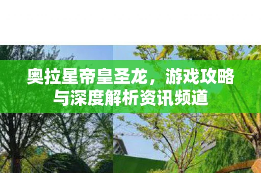 奥拉星帝皇圣龙，游戏攻略与深度解析资讯频道