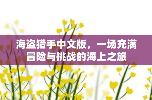 海盗猎手中文版，一场充满冒险与挑战的海上之旅