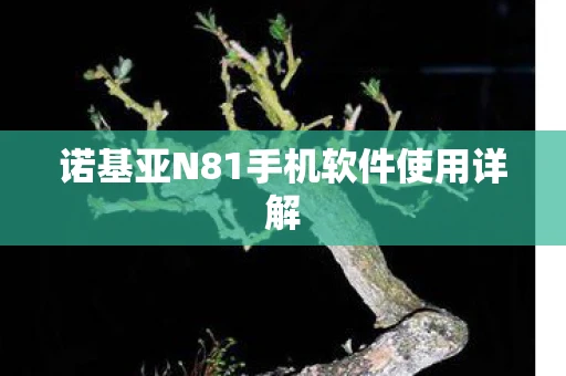 诺基亚N81手机软件使用详解