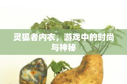 灵狐者内衣，游戏中的时尚与神秘