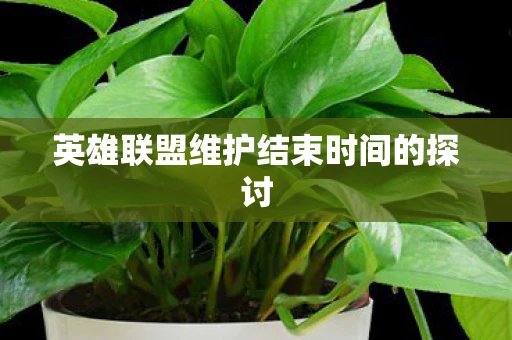 英雄联盟维护结束时间的探讨