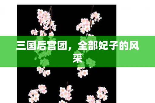 三国后宫团，全部妃子的风采