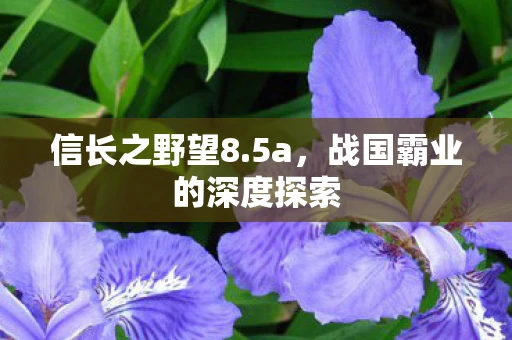 信长之野望8.5a，战国霸业的深度探索