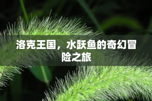水跃鱼的奇幻冒险之旅图片