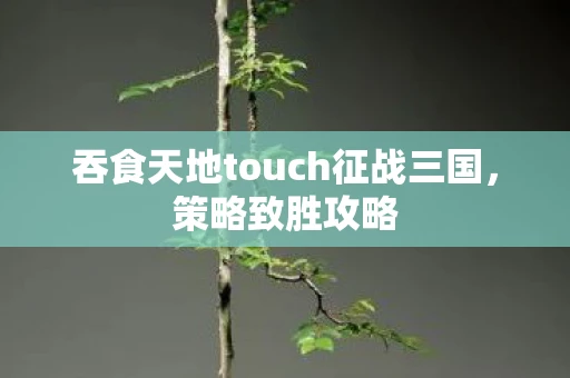 吞食天地touch征战三国，策略致胜攻略