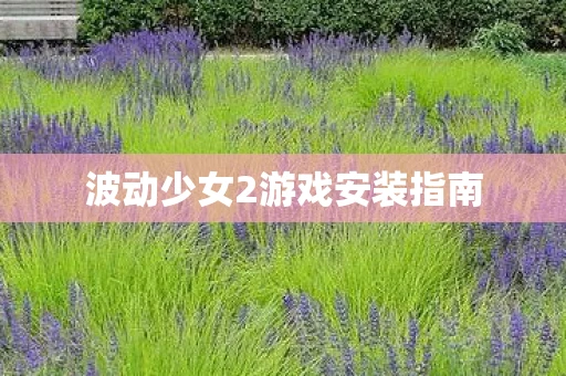 波动少女2游戏安装指南