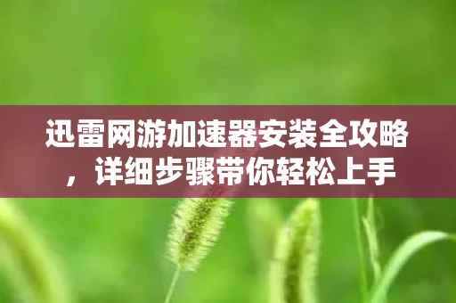 迅雷网游加速器安装全攻略，详细步骤带你轻松上手