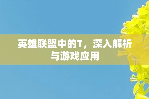 英雄联盟中的T，深入解析与游戏应用
