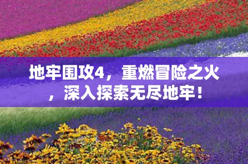 地牢围攻4，重燃冒险之火，深入探索无尽地牢！