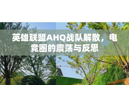 英雄联盟AHQ战队解散，电竞圈的震荡与反思