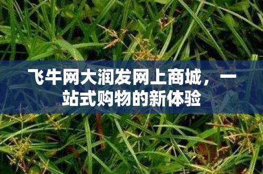 飞牛网大润发网上商城，一站式购物的新体验