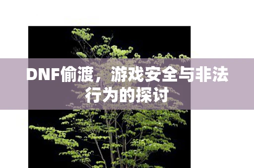 DNF偷渡，游戏安全与非法行为的探讨