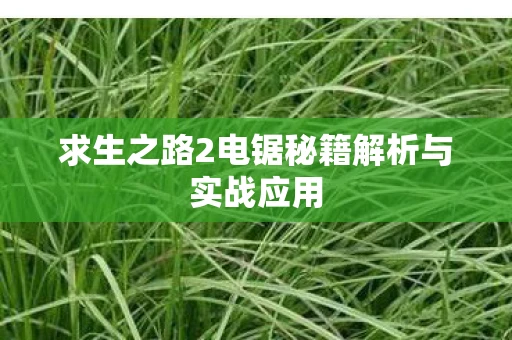 求生之路2电锯秘籍解析与实战应用