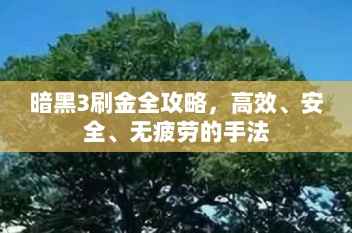 暗黑3刷金全攻略，高效、安全、无疲劳的手法