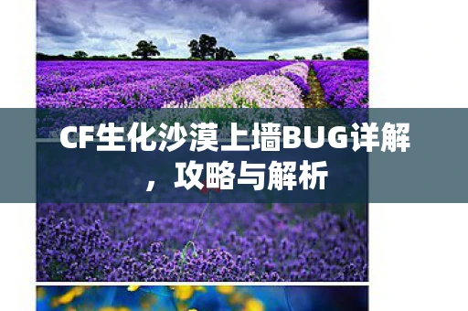 CF生化沙漠上墙BUG详解，攻略与解析