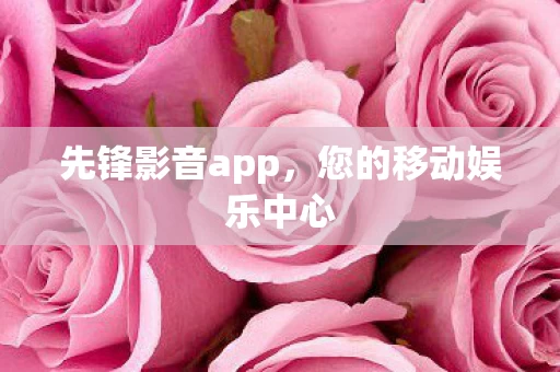 您的移动娱乐中心图片