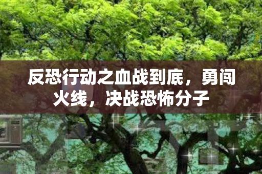 反恐行动之血战到底，勇闯火线，决战恐怖分子