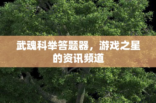 武魂科举答题器，游戏之星的资讯频道